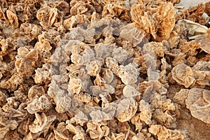 Big desert rose specimen crystal Ã¢â¬â Chott el Djerid in Tunisia. photo